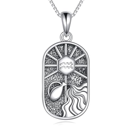 YAFEINI Sternzeichen Wassermann Kette Damen 925 Sterling Silber Wassermann Konstellation Anhänger Halskette Schmuck Geschenk Astrologie Horoskop von YAFEINI