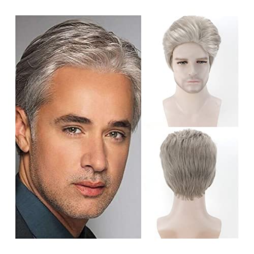 Perücke Mann Kurze ombre silbergraue Perücken for Männer männliche Toupets kurze synthetische gerade Perücke for tägliche Cosplay-Partys natürliche hitzebeständige Faserperücke Männer Perücke von YANG11FAN