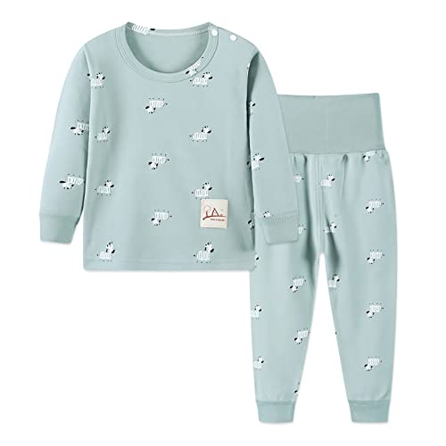 YANWANG 100% Baumwolle Baby Kinder Schlafanzüge Jungen Mädchen Pyjamas Set Langarm Nachtwäsche(Green-Zebra,Tag55/1-2 Jahre) von YANWANG