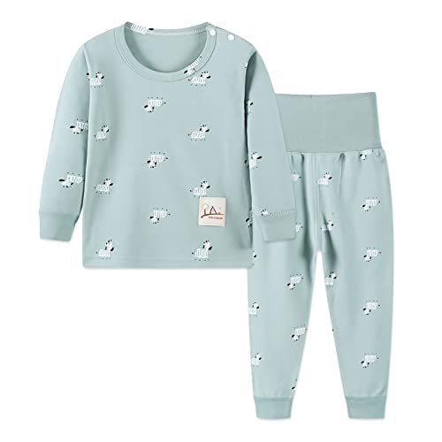YANWANG 100% Baumwolle Baby Kinder Schlafanzüge Jungen Mädchen Pyjamas Set Langarm Nachtwäsche(Green-Zebra,Tag60/2-3 Jahre) von YANWANG