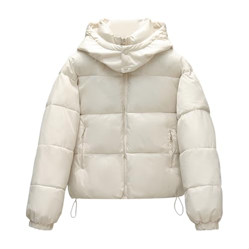 YAOJIWANG Daunenjacke Damen Dicke Hoodie Steppjacke Damen Übergangsjacke mit Stehkragen Warme Winterjacke Gefütterte Puffermantel Einfarbig Daunenoberbekleidung mit Kapuze Winterjacke mit Taschen von YAOJIWANG