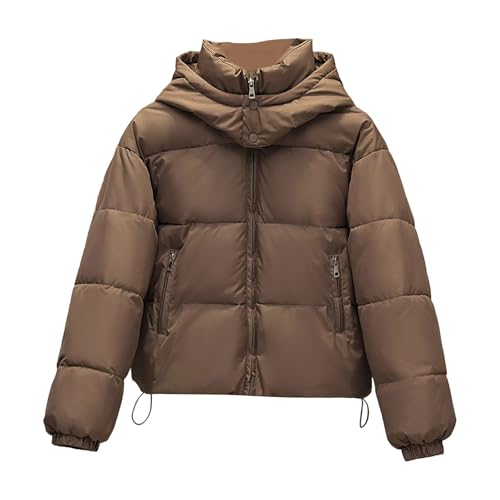 YAOJIWANG Daunenjacke Damen Dicke Hoodie Steppjacke Damen Übergangsjacke mit Stehkragen Warme Winterjacke Gefütterte Puffermantel Einfarbig Daunenoberbekleidung mit Kapuze Winterjacke mit Taschen von YAOJIWANG