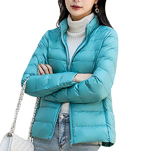 YAOTT Damen Langarm Hoodie Warme Winddichte Jacke Steppjacke Herbst/Winter Übergangsjacke Leichte Kapuzen Daunenjacke Schmale Tunika Lässige einfarbige Reißverschlussjacke Pink Blau 4XL von YAOTT