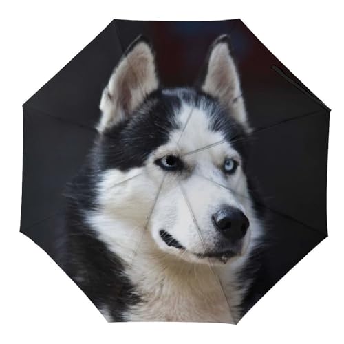 YBQLNP Automatischer Regenschirm Husky Taschenschirm Winddicht Sturmfest Für Herren Damen Teenager von YBQLNP