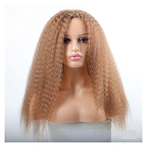 Perücken Menschliches Haar Perücken für schwarze Frauen schwarz braun blonde Ingwer rotes weißes Haar synthetische Haarperücken Frauenperücken(02) von YCCHAH