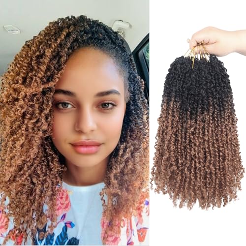 Yebo Yanky Twist-Häkelhaar, 30,5 cm, 240 Strähnen, vorgeschlungene Mini-Spring-Twists, Ombré-Braun, synthetische Zöpfe, Haarverlängerung für schwarze Frauen (OT30) von YEBO