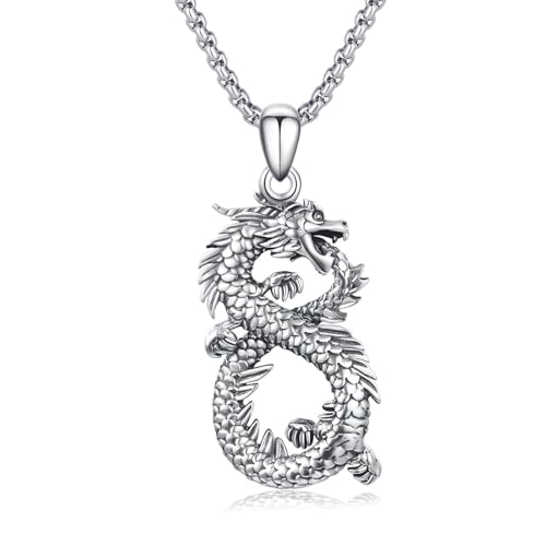 YEESIA Drachen Halskette für Herren 925er Sterlingsilber Gothic Halskette Unendlichkeits Drachen Anhänger Ewiger Schmuck Gothic Schmuck Prime Geschenke für Männer Frauen YEESIA Drachen Halskette für Herren 925er Sterlingsilber Gothic Halskette Unendlichkeits Drachen Anhänger Ewiger Schmuck Gothic Schmuck Prime Geschenke für Männer Frauen von YEESIA