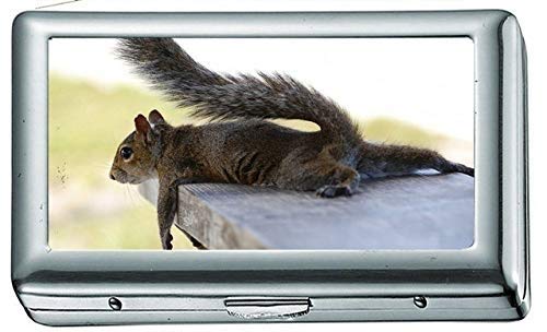 Animals Squirrels Humor Relax Mood Zigarettenetui / -schachtel Visitenkartenetui Edelstahletui Silber Metall Geldbörsenschutz von YENDOSTEEN