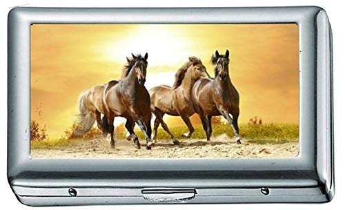 Animals Wildlife Lions Baby Zigarettenetui / -schachtel Visitenkartenetui Edelstahletui Silber Metall Geldbörsenschutz von YENDOSTEEN