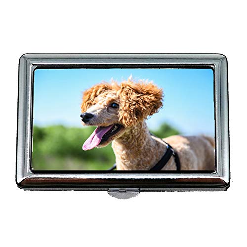 Zigarettenetui Box, Haustiere Teddy Puppy Walking das Hund Tier, Visitenkartenetui Visitenkartenetui Edelstahl von YENDOSTEEN