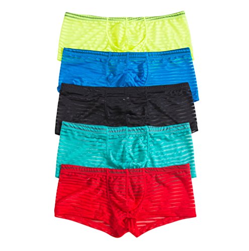 YFD Herren String Slips Mesh Low Rise Tanga Bikini Shorts Unterhosen 5er Pack (L, Slips) von YFD