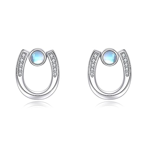 YFN Hufeisen Ohrringe 925 Sterling Silber Hufeisen Ohrstecker Ohrring Hufeisen Schmuck Geschenk für Frauen Mädchen Hufeisen Geschenke für Mutter Tochter YFN Hufeisen Ohrringe 925 Sterling Silber Hufeisen Ohrstecker Ohrring Hufeisen Schmuck Geschenk für Frauen Mädchen Hufeisen Geschenke für Mutter Tochter von YFN