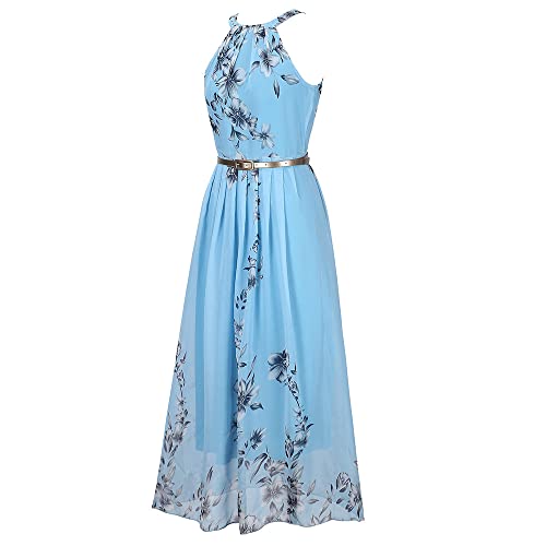 YGJKLIS Sommer-Neckholder-Chiffon-Maxikleid Sommer-Blumendruck-ärmelloses Kleid Strand-langes Kleid (Blau,S) von YGJKLIS