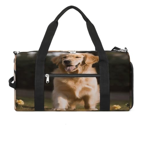 Turnbeutel Golden Retriever Hund Turnbeutel für Damen Herren Rucksack Turnbeutel mit Schuhfach Wiederverwendbar Turnbeutel Mini Turnbeutel Golden Retriever Hund Einheitsgröße, Golden Retriever Hund, von YHEGBFD