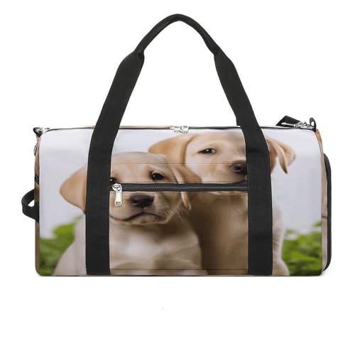 Turnbeutel Lustiger Labrador Welpe Hund Turnbeutel für Damen Herren Rucksack Turnbeutel mit Schuhfach Wiederverwendbar Turnbeutel Mini Turnbeutel Lustiger Labrador Welpe Hund, Einheitsgröße, Lustiger Turnbeutel Lustiger Labrador Welpe Hund Turnbeutel für Damen Herren Rucksack Turnbeutel mit Schuhfach Wiederverwendbar Turnbeutel Mini Turnbeutel Lustiger Labrador Welpe Hund, Einheitsgröße, Lustiger von YHEGBFD