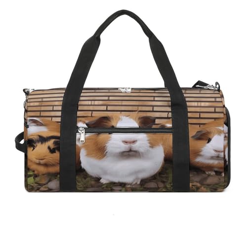 Turnbeutel Meerschweinchen Turnbeutel für Damen Herren Rucksack Turnbeutel mit Schuhfach Wiederverwendbar Turnbeutel Mini Turnbeutel Meerschweinchen Einheitsgröße, Meerschweinchen, Einheitsgröße von YHEGBFD