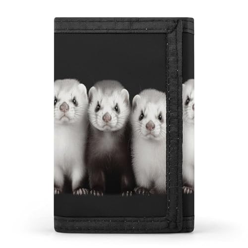 YHEGBFD Geldbörse, Frettchen, dreifach gefaltet, Geldbörse mit Schlüsselring, dreifach gefaltete Geldbörse, schlank und schlank für Damen und Herren, Frettchen, Einheitsgröße, modern, Frettchen, von YHEGBFD