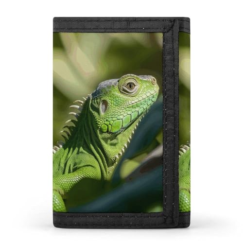YHEGBFD Geldbörse, dreifach gefaltete Geldbörse mit Schlüsselring, dreifach gefaltete Geldbörse, schlank und schlank für Damen und Herren, grüne Eidechse, Einheitsgröße, modern, Grüne Eidechse, von YHEGBFD