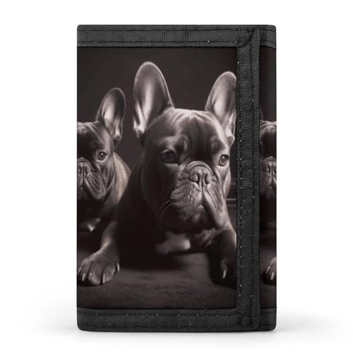 YHEGBFD Geldbörse, französische Bulldogge, dreifach gefaltete Geldbörse, Geldbörse mit Schlüsselring, blockierend, dreifach gefaltet, schlank und schlank für Damen und Herren, französische Bulldogge, von YHEGBFD