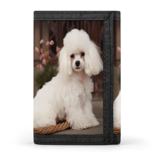 YHEGBFD Geldbörse, französischer Pudel, dreifach gefaltet, Geldbörse mit Schlüsselring, dreifach gefaltete Geldbörse, schlank und schlank für Männer und Frauen, französischer Pudel, Einheitsgröße, von YHEGBFD