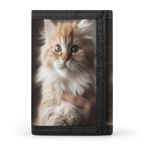 YHEGBFD Geldbörse mit niedlichem Kitty-Motiv, dreifach gefaltet, mit Schlüsselring, dreifach gefaltete Geldbörse, schlank und schlank für Damen und Herren, niedliches Kätzchen, Einheitsgröße, modern, von YHEGBFD