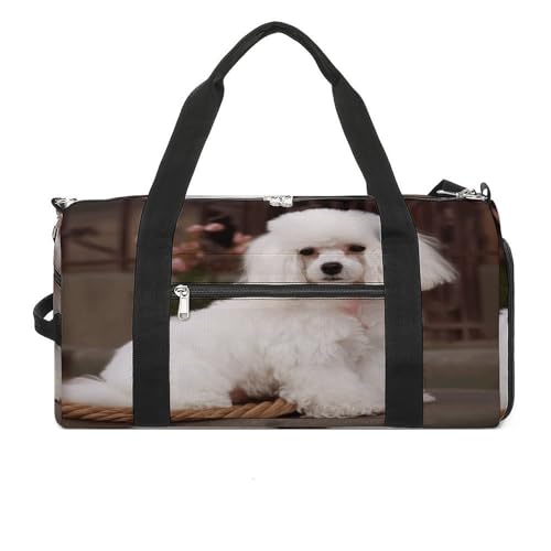 YHEGBFD Turnbeutel French Pudel Turnbeutel für Damen Herren Rucksack Turnbeutel mit Schuhfach Wiederverwendbar Turnbeutel Mini Turnbeutel French Pudel Einheitsgröße, Französischer Pudel, Einheitsgröße von YHEGBFD