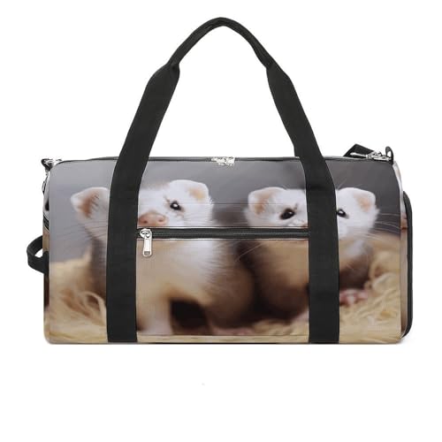 YHEGBFD Turnbeutel Frettchen Turnbeutel für Damen Herren Rucksack Turnbeutel mit Schuhfach Wiederverwendbar Turnbeutel Mini Turnbeutel Frettchen Einheitsgröße, Frettchen, Einheitsgröße von YHEGBFD