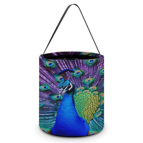 YHNNH Halloween-Süßigkeitenkorb, Tragetasche, Koala und Schmetterling, wiederverwendbar, Polyester-Stoff, Halloween-Leckerlibeutel, Tragetasche für Partygeschenke, Beauty Peacock, Einheitsgröße YHNNH Halloween-Süßigkeitenkorb, Tragetasche, Koala und Schmetterling, wiederverwendbar, Polyester-Stoff, Halloween-Leckerlibeutel, Tragetasche für Partygeschenke, Beauty Peacock, Einheitsgröße von YHNNH