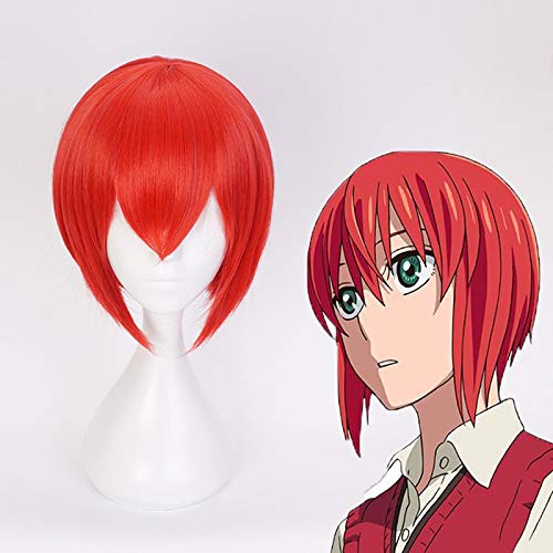Anime Die Alte Magus Braut Cosplay Perücken Chise Hatori Cosplay Haar Perücke Hitzebeständige Synthetische Perücke Halloween Party Perücken von YHWW