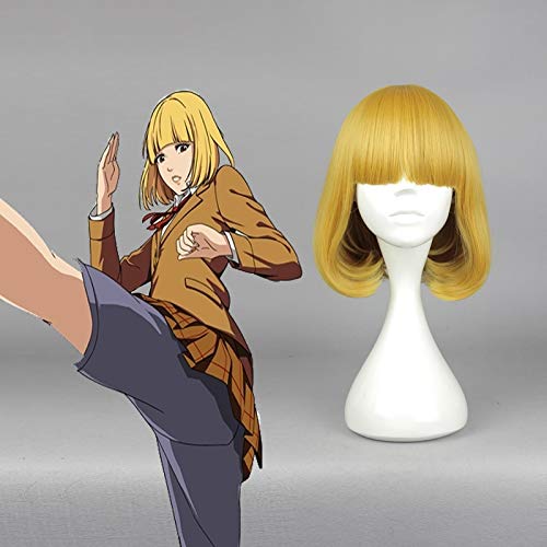Anime Gefängnis Gefängnis Cosplay Perücke Hana Midorikawa Cosplay Perücken Hitzebeständige synthetische Halloween Karneval Kangoku Gakuen Perücke von YHWW