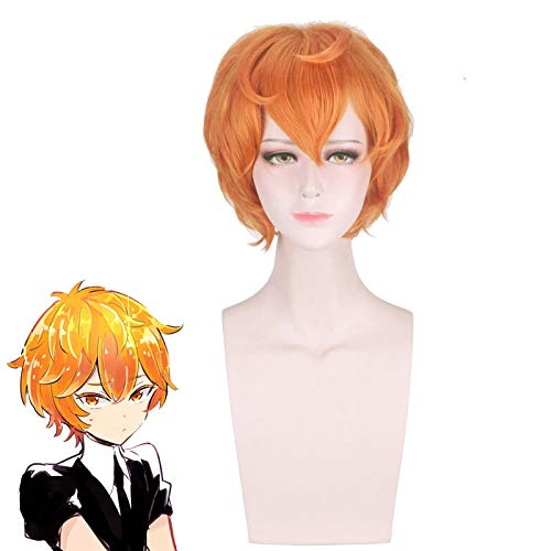 Anime Houseki No Kuni Land Der Glänzenden Zirkon Cosplay Perücke Männer Frauen Kurze Synthetische Haare Party Kostüm Perücken von YHWW
