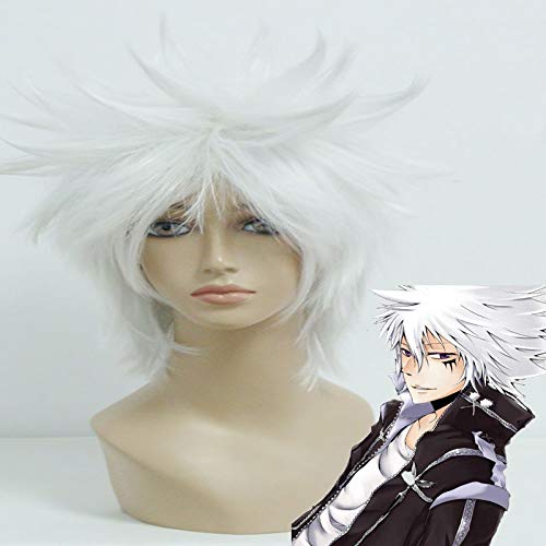 Anime Katekyo Hitman Reborn! Cosplay Perücke Byakuran Gesso Cosplay Perücken Hitzebeständige synthetische Halloween Karneval Party wiedergeboren von YHWW