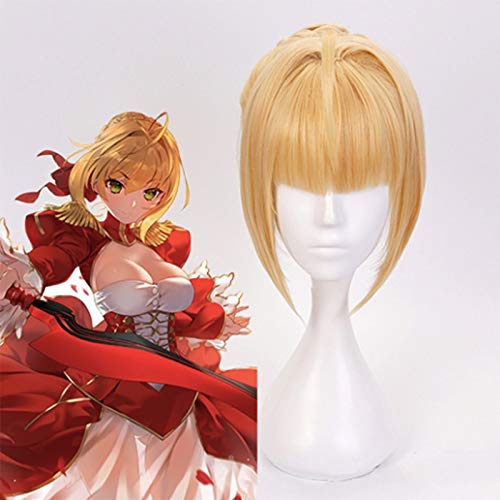 Fate Stay Night Cosplay Haar Nero Perücken Sabre Cosplay Perücke Altria Pendragon Hitzebeständige synthetische Anime Fate Grand Order Perücken von YHWW
