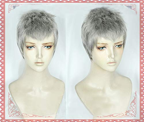 Neues Nero Cosplay Perückenspiel Devil Hunter Nero Kurzes silbergraues Haar Halloween Cosplay Kostüm Perücke Haar Event Konzert von YHWW