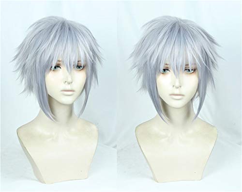 Neues Spiel Kingdom Hearts III Riku Cosplay Perücke Halloween Rollenspiel Eisengraues Haar Halloween Cosplay Kostüm Perücke Haar + Perücke Kappe von YHWW