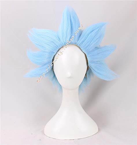 Rick und Morty Cosplay Rick Sanchez Blaue kurze Perücken Rollenspiel Synthetisches Haar + Perückenkappe von YHWW