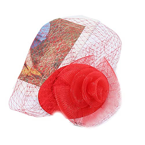YIGZYCN Damen Fascinator Haarspange Stirnband Pillbox Vintage Haarschmuck Roaring 20s Kopfbedeckung für Race Day Tea von YIGZYCN