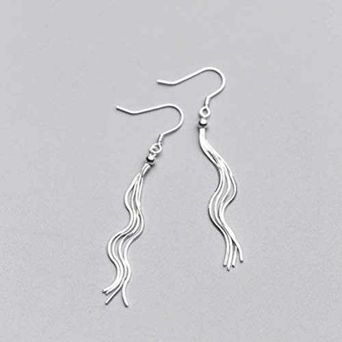 Ohrringe für Frauen, S925 Ohrringe weibliche Modetemperament Quasten Ohrringe Persönlichkeit Langes Ohrringepaar von YIHANSS