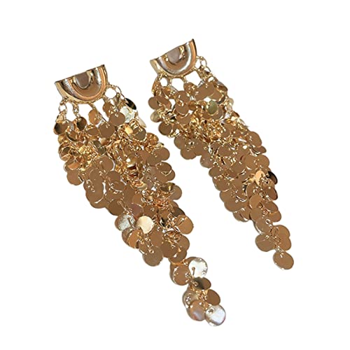 Übertriebene Metall Pailletten Ohrring Long Quaste Ohrring Personalisieren U Förmige Cluster Pailletten Quaste Disco Dangle Ohrringe von YIZITU