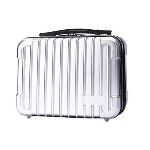 YIZITU Kleine Reisetasche für Tragetasche, multifunktionaler Organizer mit Zollfächern, Reisetasche, Hartschalen, schützende Tragetasche, Silbergrau von YIZITU