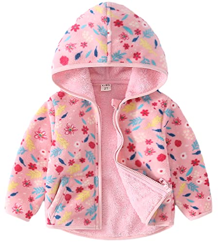 YJBQ Hochwertige Kinder Fleecejacke mit Kapuze und Reißverschluss für Jungen Mädchen Baby Mantel Warme und dicke Oberbekleidung für Herbst Winter Frühling 1-6 Jahre (Rosa 5-6 Jahre) von YJBQ