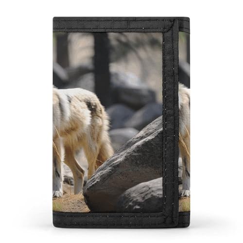YJWANDL Trifold Wallet, Wildlife Wolf Print Wallet with Multiple Slots Casual Wallet Travel Wallet Modern Wallet Elegant Wallet Style One Size Minimalist, Stil:, Einheitsgröße, Minimalistisch von YJWANDL