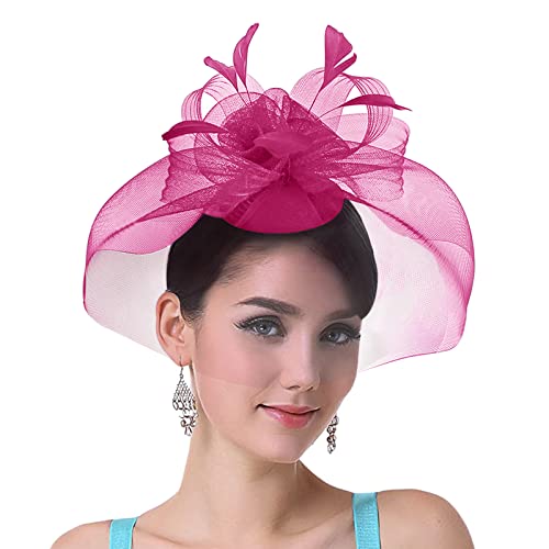 YJZQ Fascinator Hut Vintage Schleier Hut 1920er Hochzeitshut Hochzeit Braut Elegant Feder Mesh Gesichtsschleier Hut Cocktail Tea Party Kopfbedeckung Braut Kostüm Accessoires von YJZQ