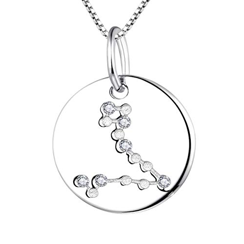 YL Silber Fische Halskette-925 Sterling Silber CZ Horoskop Sternzeichen 12 Konstellation Anhänger Halskette für Frauen und Mädchen von YL