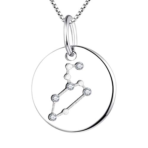 YL Silber Löwe Halskette-925 Sterling Silber CZ Horoskop Sternzeichen 12 Konstellation Anhänger Halskette für Frauen und Mädchen von YL