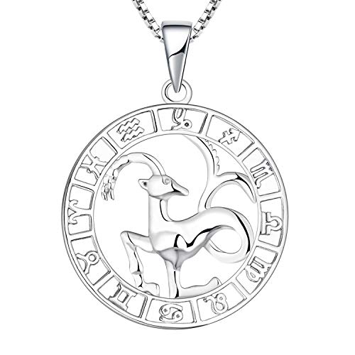 YL Silber Steinbock Halskette-925 Sterling Silber Horoskop Sternzeichen 12 Konstellation Anhänger Halskette für Damen von YL