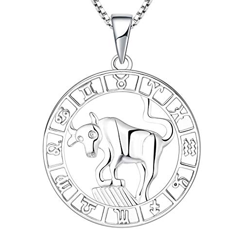 YL Silber Stier Halskette-925 Sterling Silber Horoskop Sternzeichen 12 Konstellation Anhänger Halskette für Damen von YL