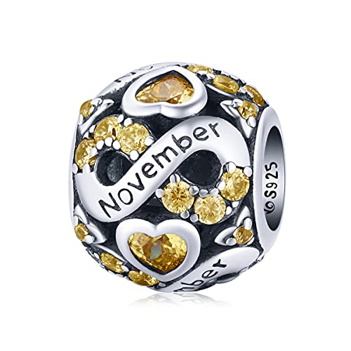 Birthstone Charms für Pandora Charms Armbänder -925 Sterling Silber Liebe Herz Bead Openwork Charms Anhänger, Alles Gute zum Geburtstag Geschenke für Frauen Mädchen Birthstone Charms für Pandora Charms Armbänder -925 Sterling Silber Liebe Herz Bead Openwork Charms Anhänger, Alles Gute zum Geburtstag Geschenke für Frauen Mädchen von YOAME