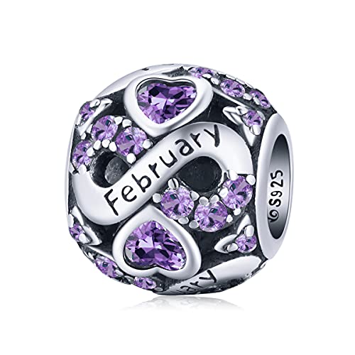 Februar Birthstone Charms 925 Sterling Silber Liebe Herz Openwork Bead für Pandora Charms Armbänder mit 5A Cubic Zirkonia, Geburtstag Muttertag Schmuck Geschenke Frauen Mädchen von YOAME