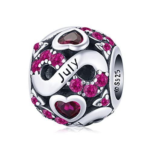 Juli Geburtsstein Anhänger für Pandora Charms Armbänder 925 Sterling Silber Bead, Happy Birthday Charms für Frauen Schmuck Geschenk mit Geschenkbox Juli Geburtsstein Anhänger für Pandora Charms Armbänder 925 Sterling Silber Bead, Happy Birthday Charms für Frauen Schmuck Geschenk mit Geschenkbox von YOAME